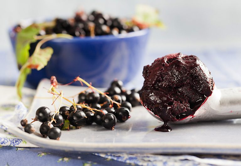 Read more about the article Pick Your Own Blackcurrants