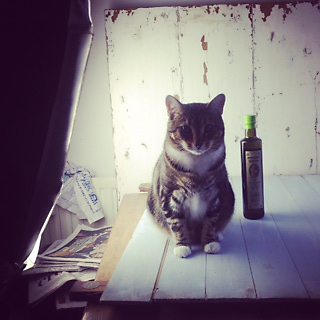 My photo assistant….